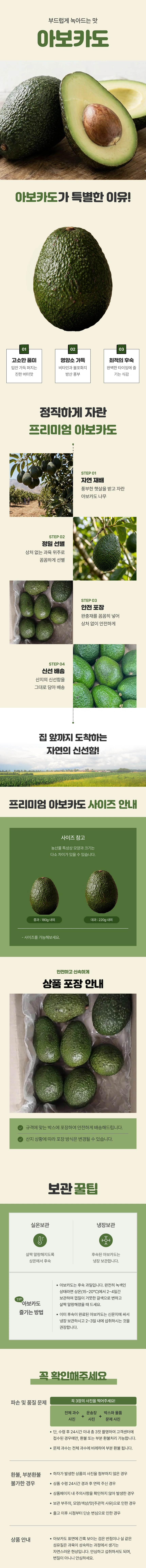아보카도