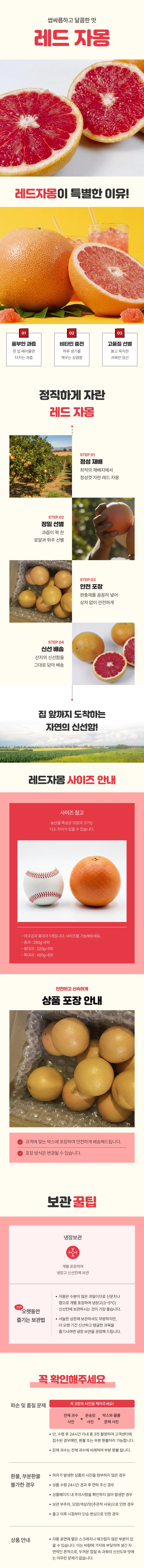 레드 자몽
