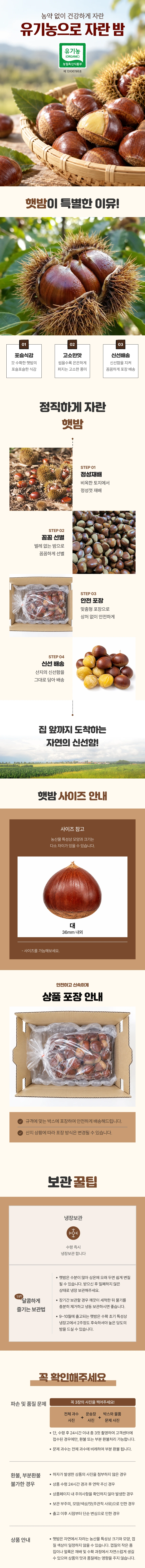 2026 햇밤