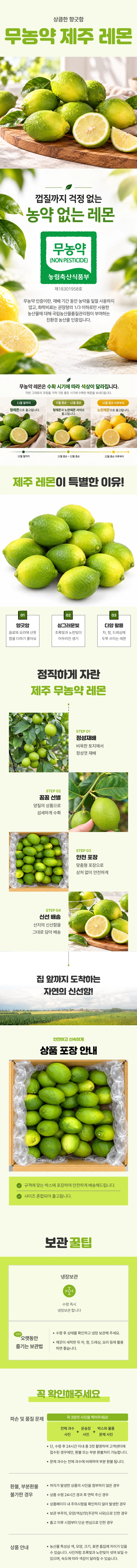 제주 레몬