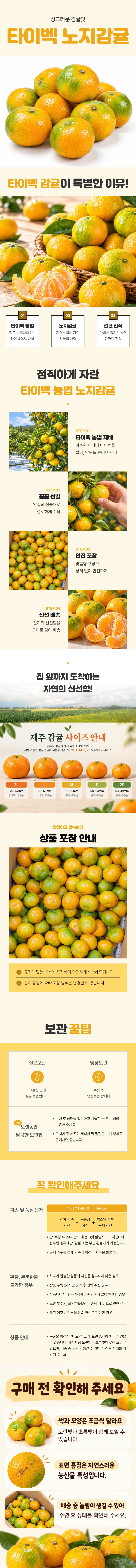 타이벡 노지감귤 극조생