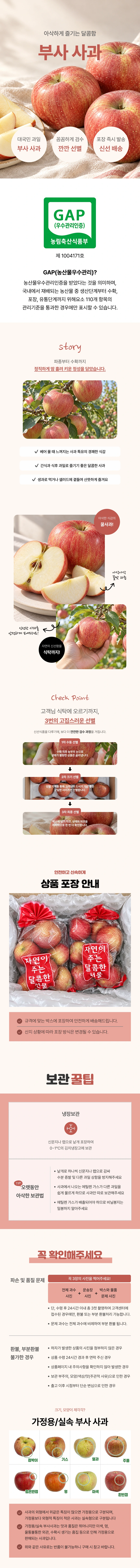 GAP인증 실속 부사사과
